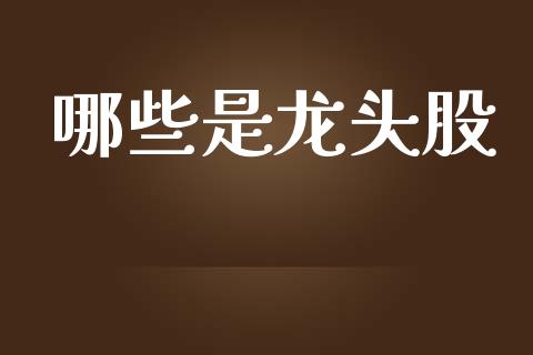 哪些是龙头股_https://m.sdyuehang.cn_国际期货恒指直播间_第1张