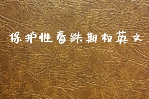 保护性看跌期权英文_https://m.sdyuehang.cn_国际期货恒指直播间_第1张