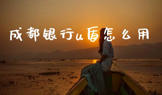 成都银行u盾怎么用_https://m.sdyuehang.cn_恒指直播_第1张