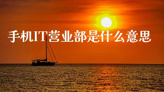 手机IT营业部是什么意思_https://m.sdyuehang.cn_国际期货恒指直播间_第1张