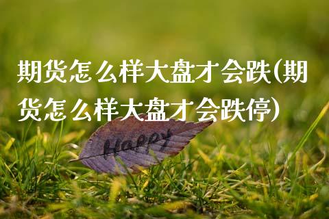 期货怎么样大盘才会跌(期货怎么样大盘才会跌停)_https://m.sdyuehang.cn_德指直播室_第1张