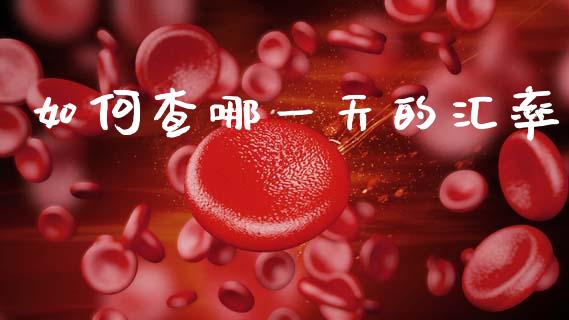 如何查哪一天的汇率_https://m.sdyuehang.cn_德指直播室_第1张