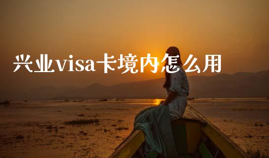 兴业visa卡境内怎么用_https://m.sdyuehang.cn_恒指直播_第1张