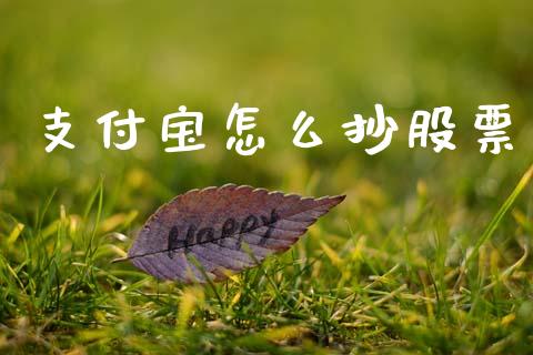 支付宝怎么抄股票_https://m.sdyuehang.cn_德指直播室_第1张