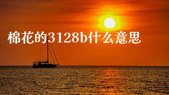 棉花的3128b什么意思_https://m.sdyuehang.cn_国际期货恒指直播间_第1张