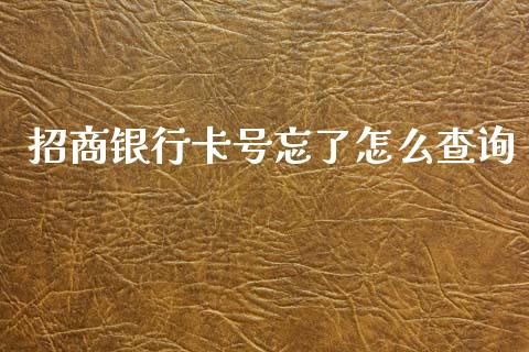 招商银行卡号忘了怎么查询_https://m.sdyuehang.cn_恒指直播_第1张