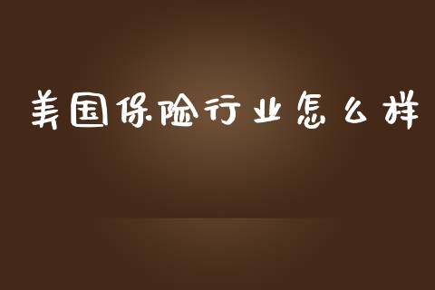 美国保险行业怎么样_https://m.sdyuehang.cn_恒指直播_第1张