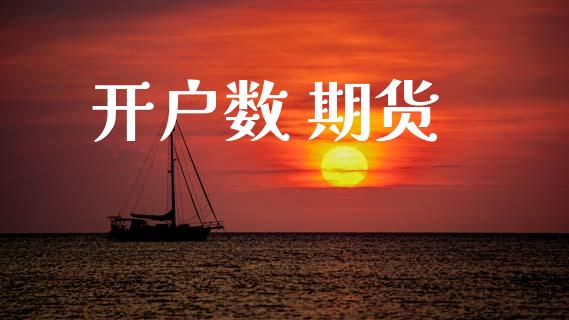 开户数 期货_https://m.sdyuehang.cn_恒指直播_第1张