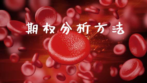 期权分析方法_https://m.sdyuehang.cn_纳指直播喊单_第1张