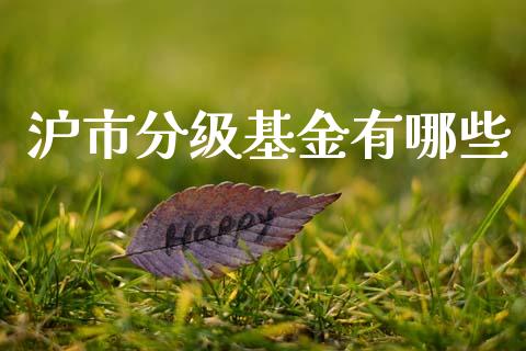 沪市分级基金有哪些_https://m.sdyuehang.cn_国际期货恒指直播间_第1张