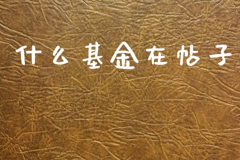 什么基金在帖子_https://m.sdyuehang.cn_恒指直播_第1张