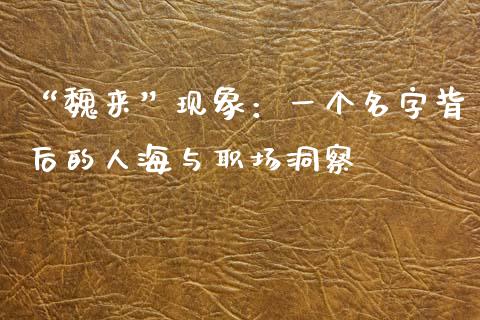 “魏来”现象：一个名字背后的人海与职场洞察_https://m.sdyuehang.cn_德指直播室_第1张