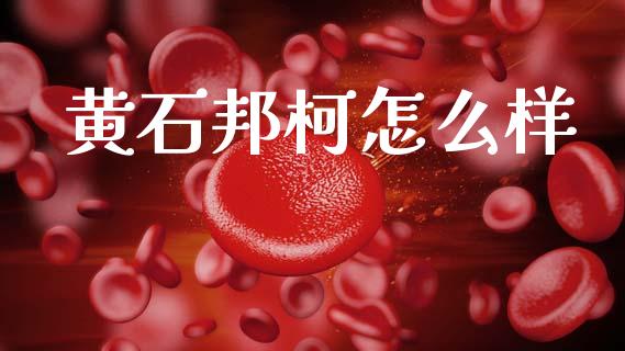 黄石邦柯怎么样_https://m.sdyuehang.cn_纳指直播喊单_第1张