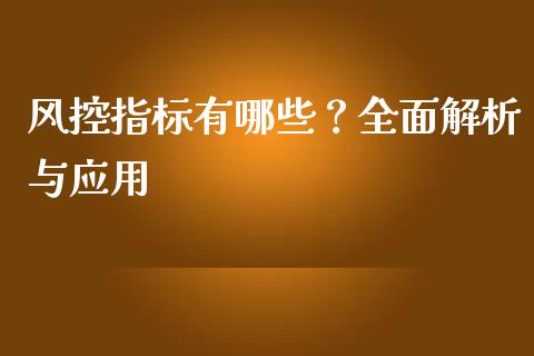 风控指标有哪些？全面解析与应用_https://m.sdyuehang.cn_国际期货恒指直播间_第1张
