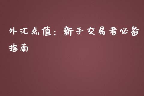 外汇点值：新手交易者必备指南_https://m.sdyuehang.cn_德指直播室_第1张