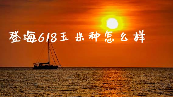 登海618玉米种怎么样_https://m.sdyuehang.cn_国际期货恒指直播间_第1张
