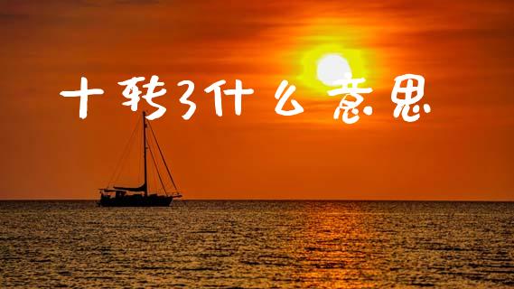 十转3什么意思_https://m.sdyuehang.cn_德指直播室_第1张