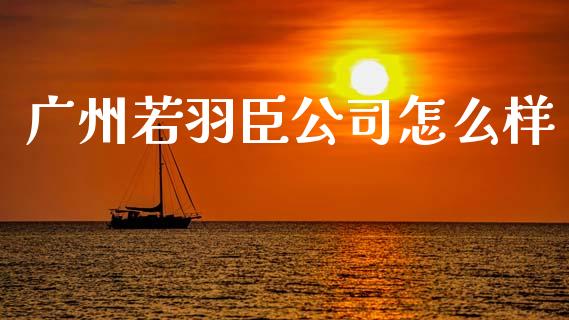 广州若羽臣公司怎么样_https://m.sdyuehang.cn_德指直播室_第1张