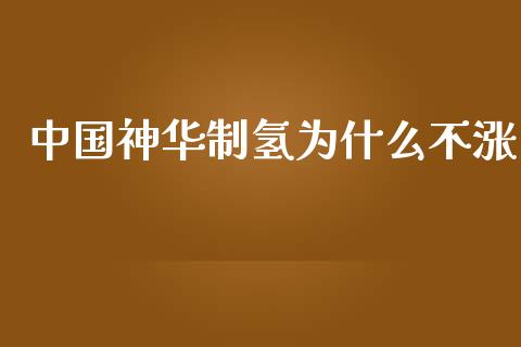 中国神华制氢为什么不涨_https://m.sdyuehang.cn_纳指直播喊单_第1张