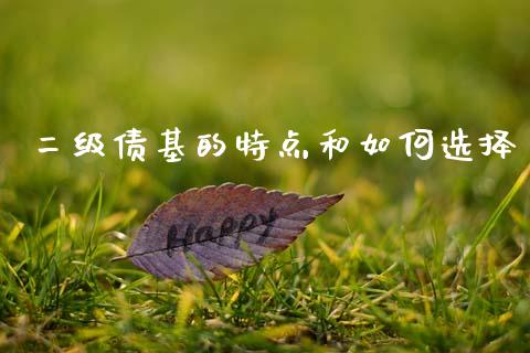 二级债基的特点和如何选择_https://m.sdyuehang.cn_纳指直播喊单_第1张