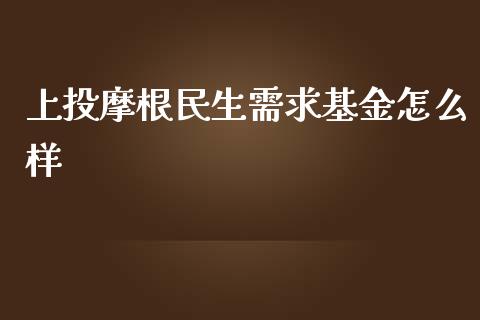 上投摩根民生需求基金怎么样_https://m.sdyuehang.cn_国际期货恒指直播间_第1张