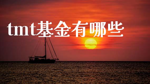 tmt基金有哪些_https://m.sdyuehang.cn_国际期货恒指直播间_第1张
