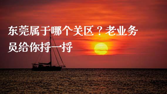 东莞属于哪个关区？老业务员给你捋一捋_https://m.sdyuehang.cn_德指直播室_第1张