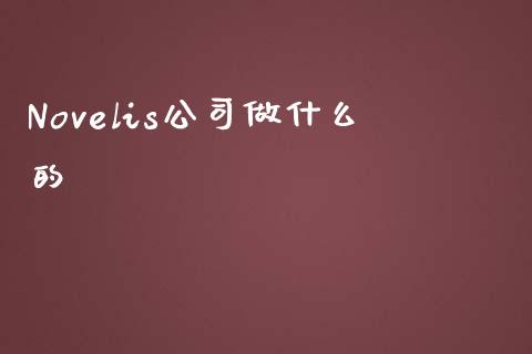 Novelis公司做什么的_https://m.sdyuehang.cn_纳指直播喊单_第1张