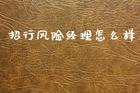 招行风险经理怎么样_https://m.sdyuehang.cn_德指直播室_第1张