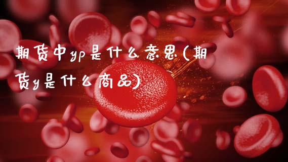 期货中yp是什么意思(期货y是什么商品)_https://m.sdyuehang.cn_德指直播室_第1张