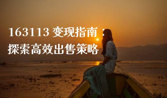 163113 变现指南：探索高效出售策略_https://m.sdyuehang.cn_德指直播室_第1张