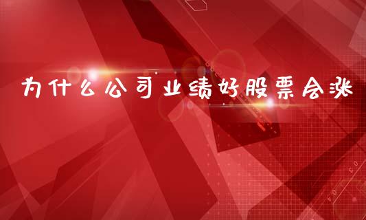 为什么公司业绩好股票会涨_https://m.sdyuehang.cn_国际期货恒指直播间_第1张