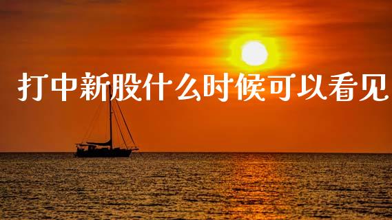打中新股什么时候可以看见_https://m.sdyuehang.cn_国际期货恒指直播间_第1张