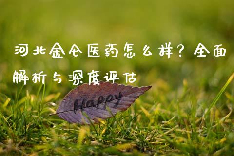 河北金仑医药怎么样？全面解析与深度评估_https://m.sdyuehang.cn_德指直播室_第1张