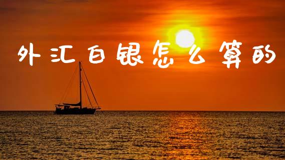 外汇白银怎么算的_https://m.sdyuehang.cn_纳指直播喊单_第1张