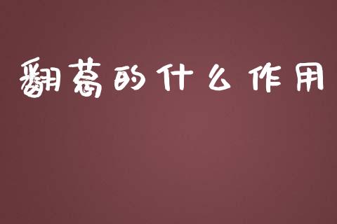 翻葛的什么作用_https://m.sdyuehang.cn_国际期货恒指直播间_第1张