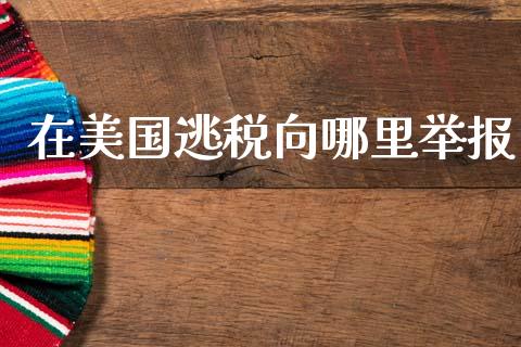 在美国逃税向哪里举报_https://m.sdyuehang.cn_纳指直播喊单_第1张