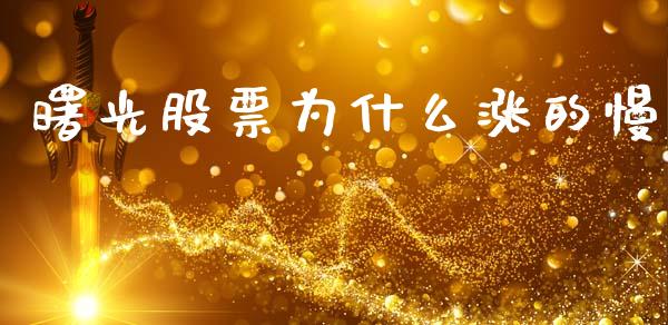 曙光股票为什么涨的慢_https://m.sdyuehang.cn_德指直播室_第1张