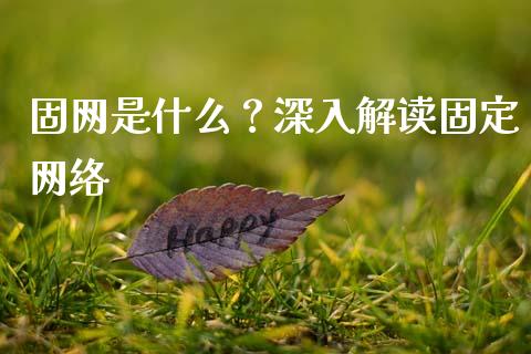 固网是什么？深入解读固定网络_https://m.sdyuehang.cn_德指直播室_第1张