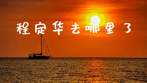 程定华去哪里了_https://m.sdyuehang.cn_国际期货恒指直播间_第1张
