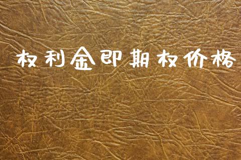权利金即期权价格_https://m.sdyuehang.cn_纳指直播喊单_第1张
