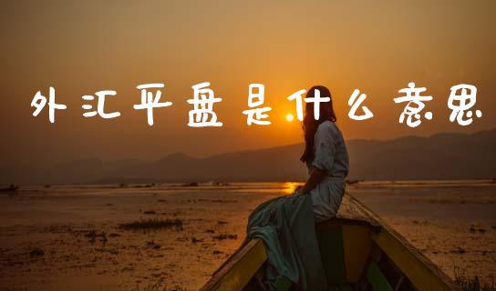 外汇平盘是什么意思_https://m.sdyuehang.cn_恒指直播_第1张