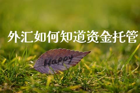外汇如何知道资金托管_https://m.sdyuehang.cn_恒指直播_第1张