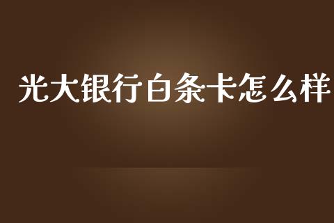 光大银行白条卡怎么样_https://m.sdyuehang.cn_国际期货恒指直播间_第1张