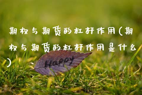期权与期货的杠杆作用(期权与期货的杠杆作用是什么)_https://m.sdyuehang.cn_德指直播室_第1张