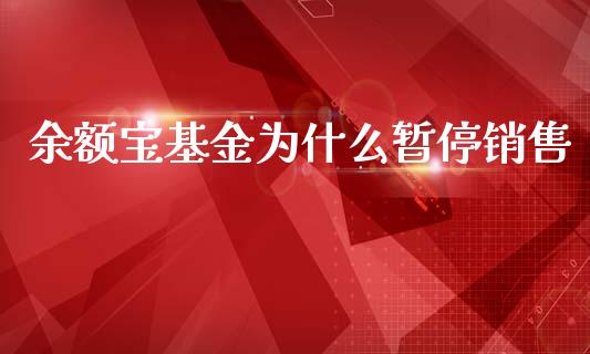 余额宝基金为什么暂停销售_https://m.sdyuehang.cn_恒指直播_第1张