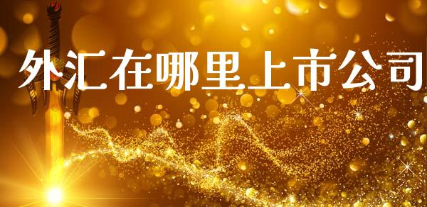 外汇在哪里上市公司_https://m.sdyuehang.cn_恒指直播_第1张