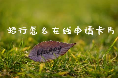 招行怎么在线申请卡片_https://m.sdyuehang.cn_国际期货恒指直播间_第1张