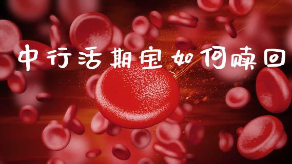 中行活期宝如何赎回_https://m.sdyuehang.cn_纳指直播喊单_第1张