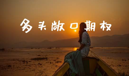 多头敞口期权_https://m.sdyuehang.cn_纳指直播喊单_第1张